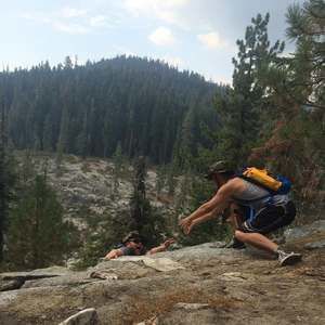 Meet your Posher, Frank